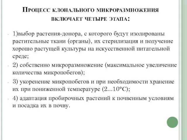 Процесс клонального микроразмножения включает четыре этапа: 1)выбор растения-донора, с которого будут