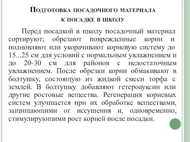 Подготовка посадочного материала к посадке в школу Перед посадкой в школу