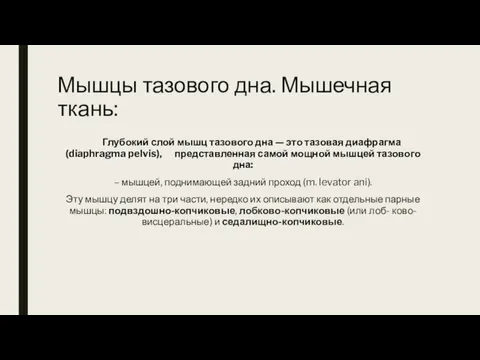 Мышцы тазового дна. Мышечная ткань: Глубокий слой мышц тазового дна —