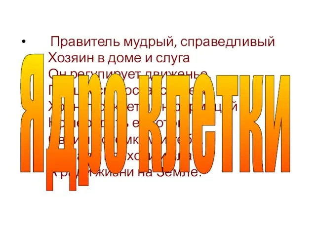 Правитель мудрый, справедливый Хозяин в доме и слуга Он регулирует движенье,