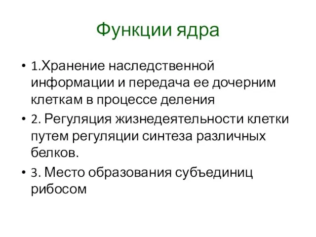 Функции ядра 1.Хранение наследственной информации и передача ее дочерним клеткам в