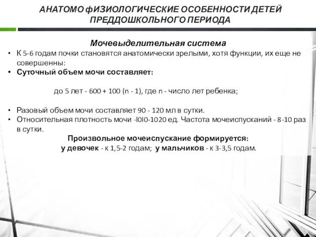 АНАТОМО фИ3ИОЛОГИЧЕСКИЕ ОСОБЕННОСТИ ДЕТЕЙ ПРЕДДОШКОЛЬНОГО ПЕРИОДА Мочевыделительная система К 5-6 годам