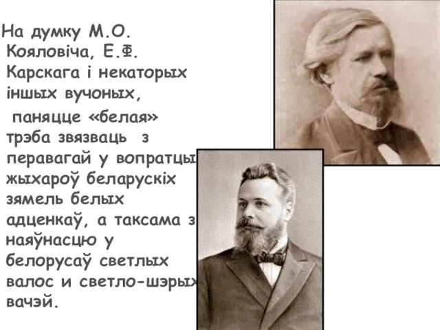 На думку М.О. Кояловіча, Е.Ф. Карскага і некаторых іншых вучоных, паняцце