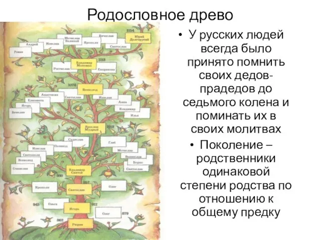 Родословное древо У русских людей всегда было принято помнить своих дедов-прадедов