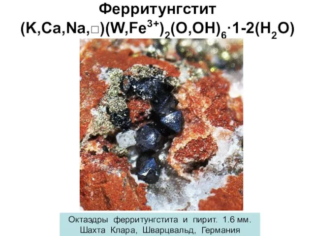 Ферритунгстит (K,Ca,Na,□)(W,Fe3+)2(O,OH)6·1-2(H2O) Октаэдры ферритунгстита и пирит. 1.6 мм. Шахта Клара, Шварцвальд, Германия