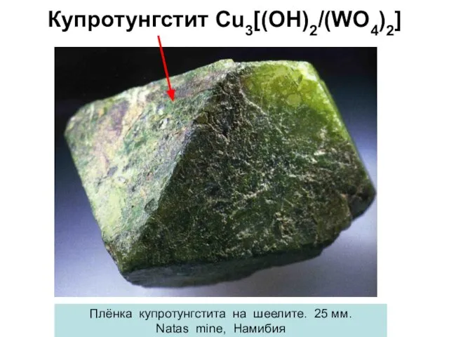 Купротунгстит Cu3[(OH)2/(WO4)2] Плёнка купротунгстита на шеелите. 25 мм. Natas mine, Намибия