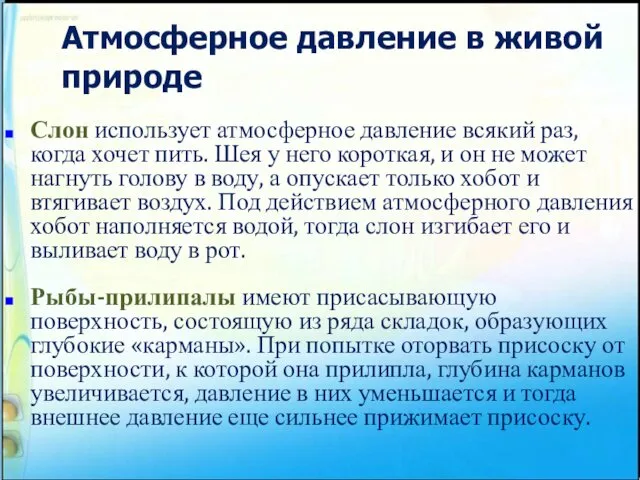 Атмосферное давление в живой природе Рыбы-прилипалы имеют присасывающую поверхность, состоящую из