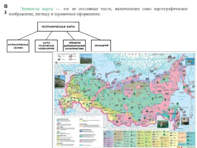 КОНСТАНТИНОВА Т.В. caltha@lis.ru Элементы карты — это ее составные части, включающие