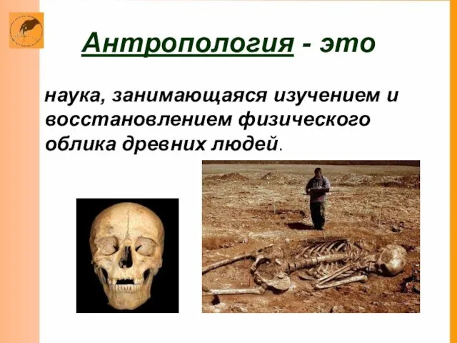 Антропология - это наука, занимающаяся изучением и восстановлением физического облика древних людей.