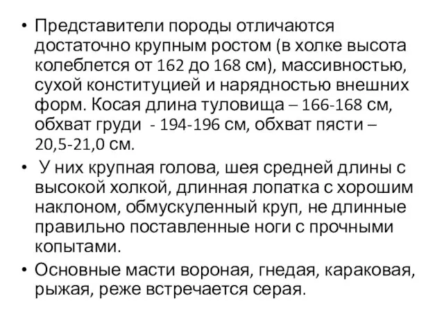 Представители породы отличаются достаточно крупным ростом (в холке высота колеблется от