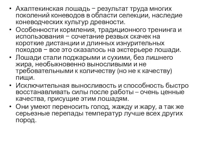 Ахалтекинская лошадь − результат труда многих поколений коневодов в области селекции,