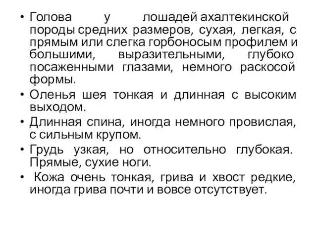 Голова у лошадей ахалтекинской породы средних размеров, сухая, легкая, с прямым