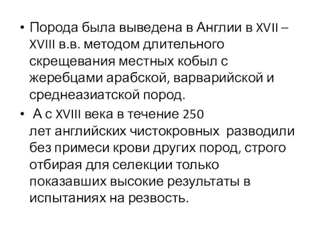 Порода была выведена в Англии в XVII – XVIII в.в. методом