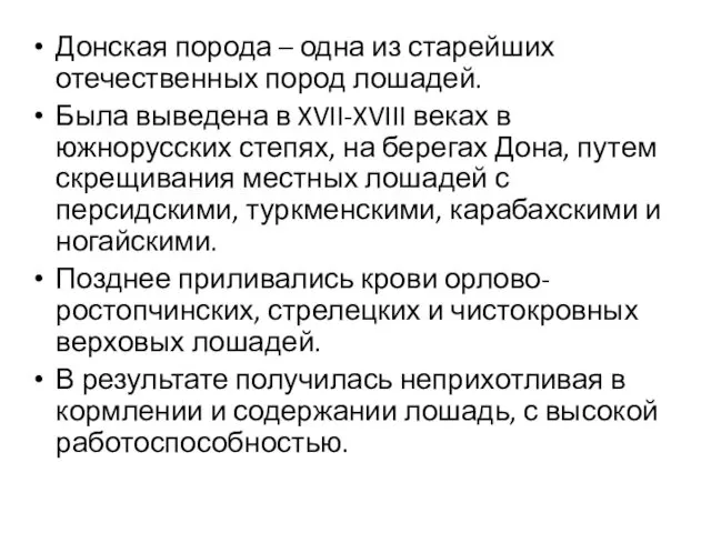 Донская порода – одна из старейших отечественных пород лошадей. Была выведена