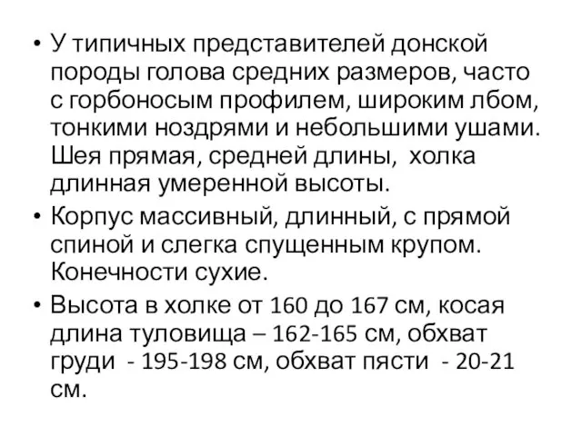 У типичных представителей донской породы голова средних размеров, часто с горбоносым