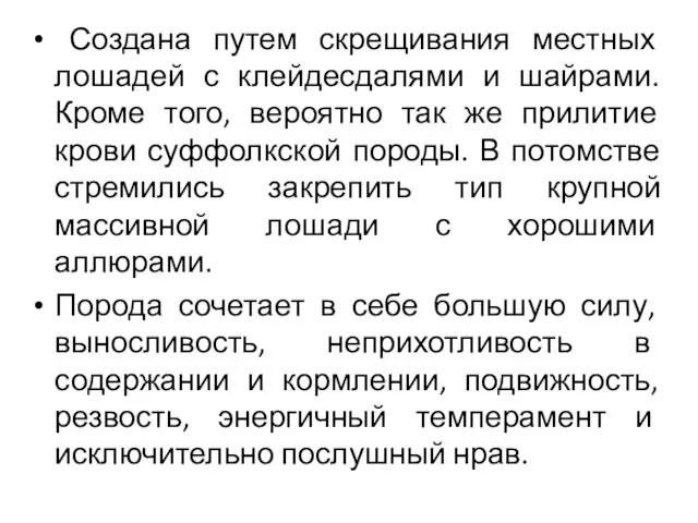 Создана путем скрещивания местных лошадей с клейдесдалями и шайрами. Кроме того,