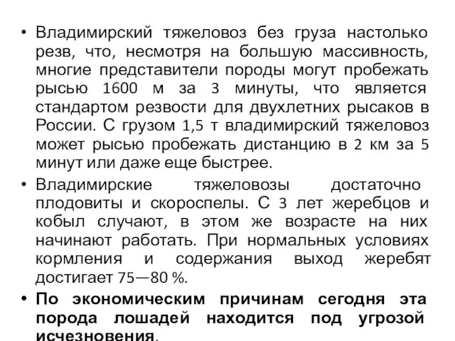 Владимирский тяжеловоз без груза настолько резв, что, несмотря на большую массивность,