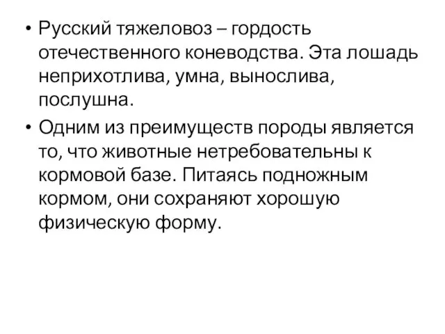 Русский тяжеловоз – гордость отечественного коневодства. Эта лошадь неприхотлива, умна, вынослива,