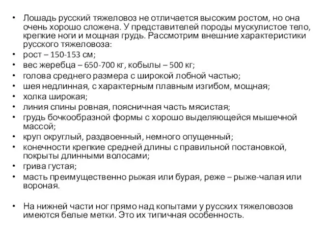 Лошадь русский тяжеловоз не отличается высоким ростом, но она очень хорошо