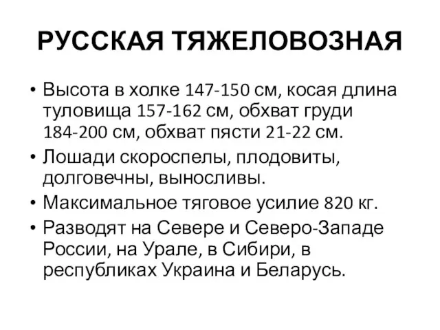 РУССКАЯ ТЯЖЕЛОВОЗНАЯ Высота в холке 147-150 см, косая длина туловища 157-162