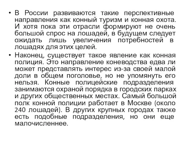 В России развиваются такие перспективные направления как конный туризм и конная