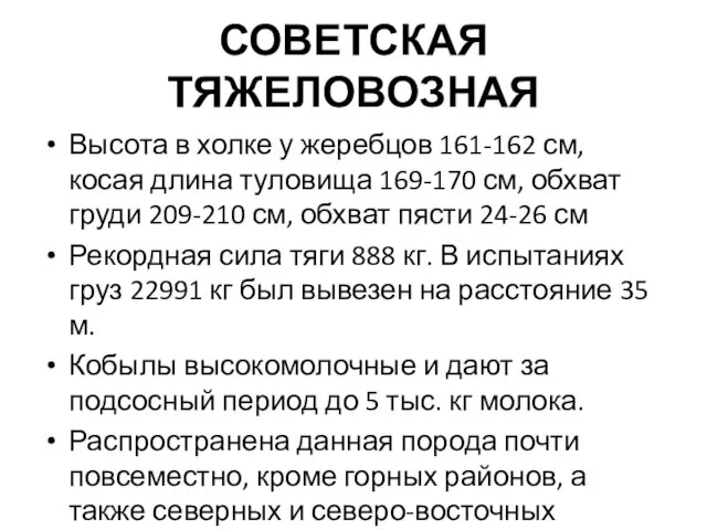 СОВЕТСКАЯ ТЯЖЕЛОВОЗНАЯ Высота в холке у жеребцов 161-162 см, косая длина