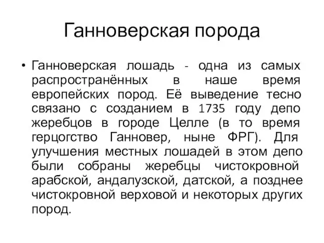 Ганноверская порода Ганноверская лошадь - одна из самых распространённых в наше