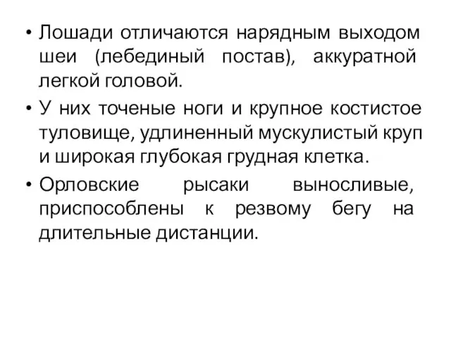 Лошади отличаются нарядным выходом шеи (лебединый постав), аккуратной легкой головой. У