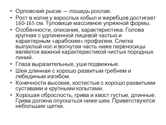 Орловский рысак — лошадь рослая. Рост в холке у взрослых кобыл