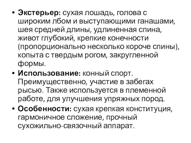 Экстерьер: сухая лошадь, голова с широким лбом и выступающими ганашами, шея