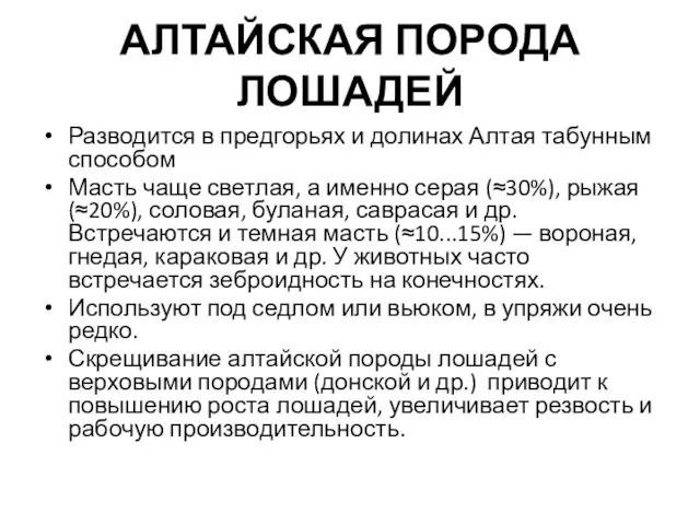 АЛТАЙСКАЯ ПОРОДА ЛОШАДЕЙ Разводится в предгорьях и долинах Алтая табунным способом