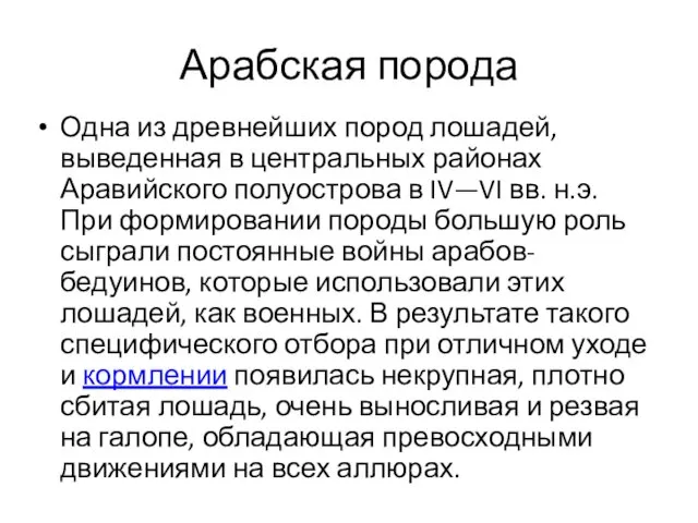 Арабская порода Одна из древнейших пород лошадей, выведенная в центральных районах