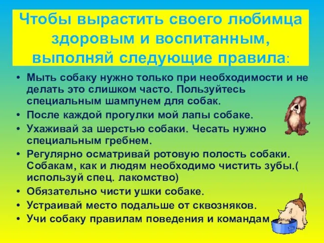 Чтобы вырастить своего любимца здоровым и воспитанным, выполняй следующие правила: Мыть