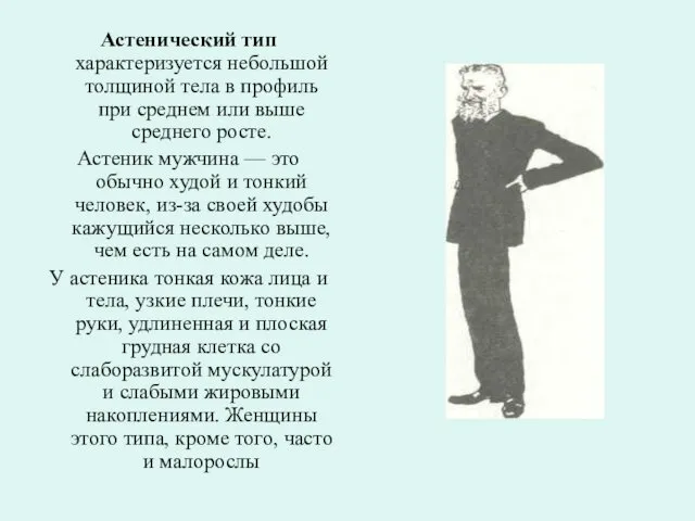 Астенический тип характеризуется небольшой толщиной тела в профиль при среднем или