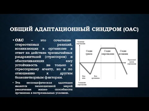 ОБЩИЙ АДАПТАЦИОННЫЙ СИНДРОМ (ОАС) ОАС – это сочетание стереотипных реакций, возникающих