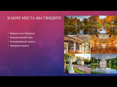 КАКИЕ МЕСТА ВЫ УВИДИТЕ Царское село (Пушкин) Екатерининский парк Екатерининский дворец Янтарная комната