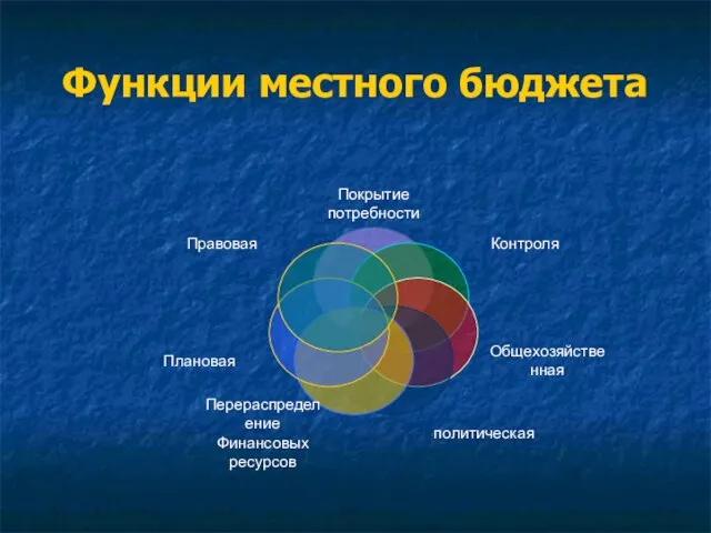 Функции местного бюджета