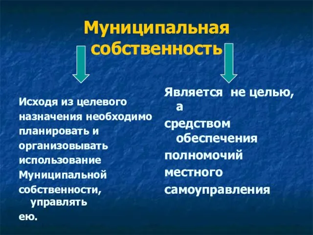 Муниципальная собственность Исходя из целевого назначения необходимо планировать и организовывать использование