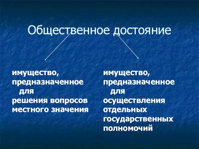 Общественное достояние имущество, предназначенное для решения вопросов местного значения имущество, предназначенное для осуществления отдельных государственных полномочий