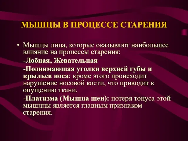 МЫШЦЫ В ПРОЦЕССЕ СТАРЕНИЯ Мышцы лица, которые оказывают наибольшее влияние на