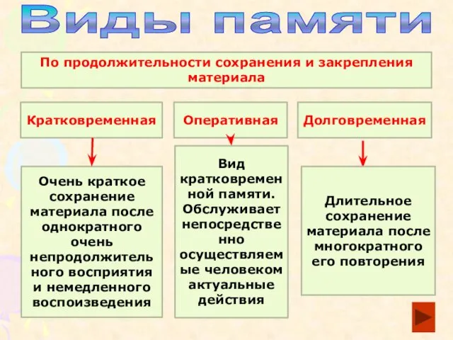 Виды памяти По продолжительности сохранения и закрепления материала Кратковременная Оперативная Долговременная