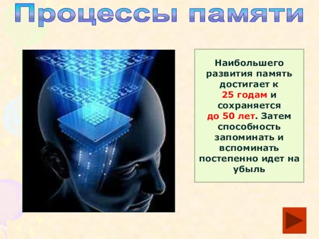 Процессы памяти Наибольшего развития память достигает к 25 годам и сохраняется