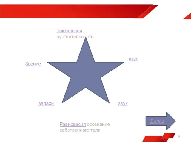 Тактильная чуствительность Зрение запахи вкус звук Равновесия осознание собственного тела Далее