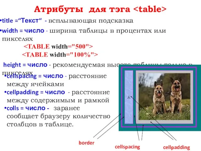 Атрибуты для тэга title =“Текст“ - всплывающая подсказка width = число