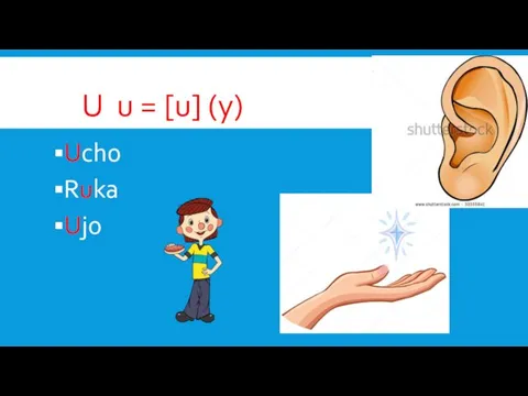 U u = [u] (у) Ucho Ruka Ujo