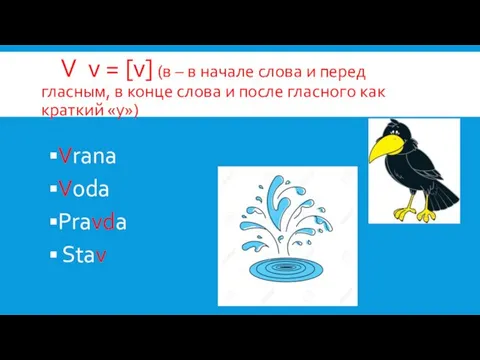 V v = [v] (в – в начале слова и перед