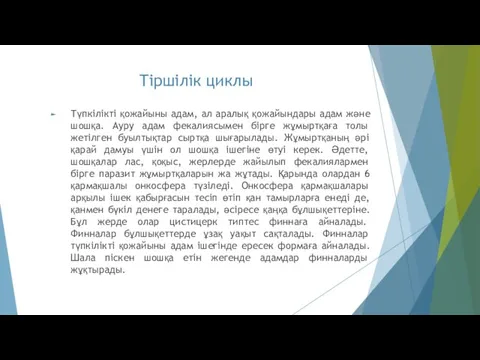 Тіршілік циклы Түпкілікті қожайыны адам, ал аралық қожайындары адам және шошқа.