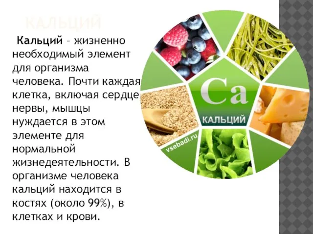 КАЛЬЦИЙ Кальций – жизненно необходимый элемент для организма человека. Почти каждая