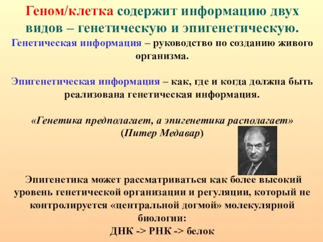 Геном/клетка содержит информацию двух видов – генетическую и эпигенетическую. Генетическая информация