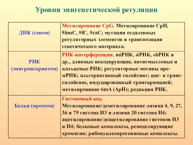 Уровни эпигенетической регуляции